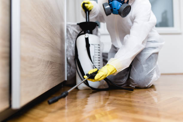 Best Best Pest Control Near Me  in Hope Valley, RI