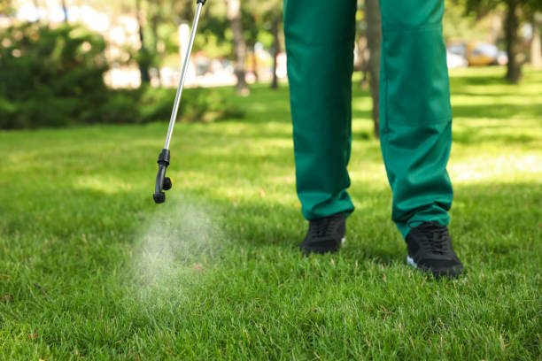 Best Affordable Pest Control Services  in Hope Valley, RI