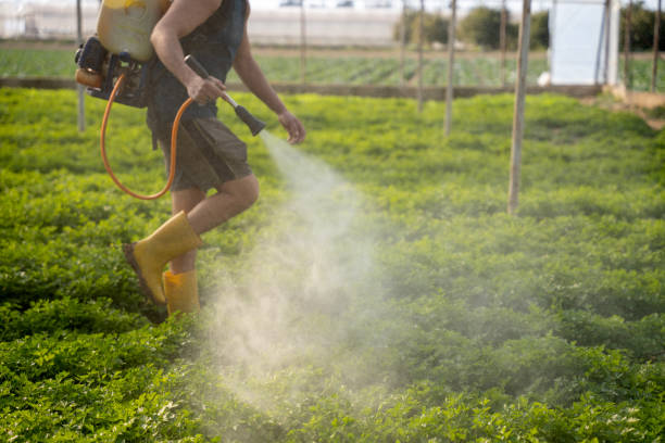 Best Local Pest Control Services  in Hope Valley, RI