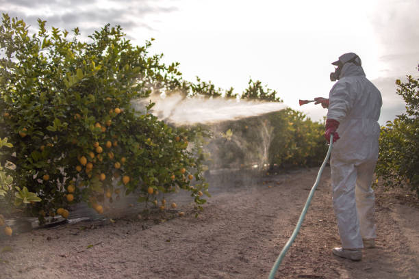 Best Termite Control Services  in Hope Valley, RI