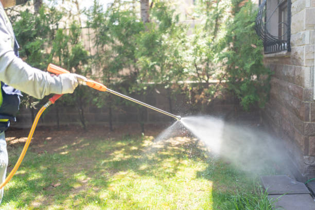 Best Rat Extermination Near Me  in Hope Valley, RI