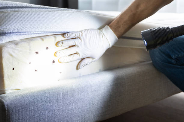 Best Mosquito Control Services  in Hope Valley, RI
