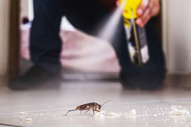 Reliable Hope Valley, RI Pest Control Solutions