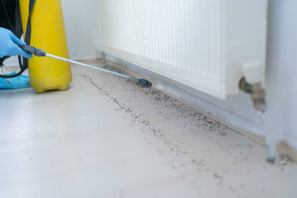 Best Exterminator Services  in Hope Valley, RI