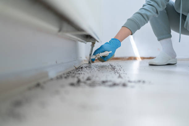 Best Pest Prevention Services  in Hope Valley, RI
